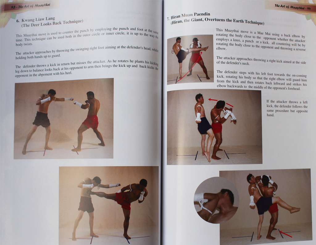 Art of Muaythai (Boran) by Grand Master Woody